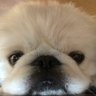 こゆき❄️'s profile picture