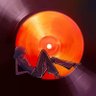 Profilbild von mony