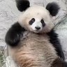 左右確認 的头像