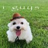 Фото профиля guys and dog