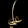 Фото профиля ولسوف يعطيك ربك فترضى