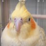 名前何だっけ? 的头像