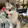 Фото профиля Sona