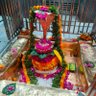 Profilbild von Rohit Dwivedi