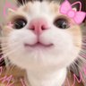 Profilbild von momoginyaw