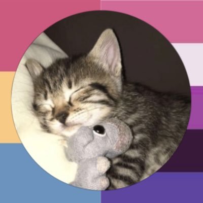 °•Evil Renny•°|Will Byers|'s profile picture