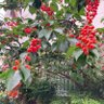 Фото профиля tomizo.iwaya