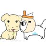 혜진's profile picture