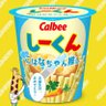 し~くん profil fotoğrafı
