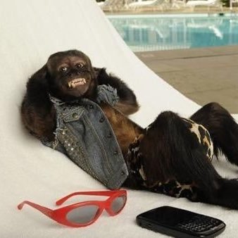 _Madley's profile picture