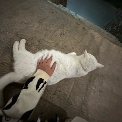 m5's profile picture