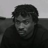 CEPI's profile picture
