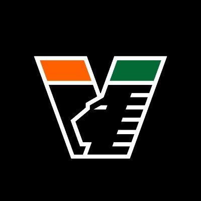 Venezia FC's profile picture