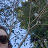 Reece's profile picture