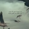 Profilbild von أحمد