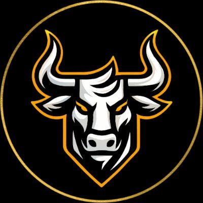 Gamble Bulls's profile picture