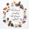 الملكية profil fotoğrafı
