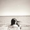 YARA's profile picture
