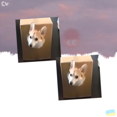 cvsilly_'s profile picture