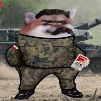 Michal Fella #StopIslamizacjiLewicy's profile picture