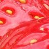slice's profile picture