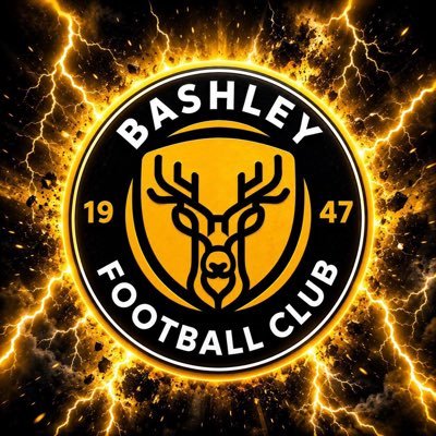 Bashley FC's profile picture