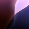 DD's profile picture