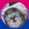 zoongly's profile picture