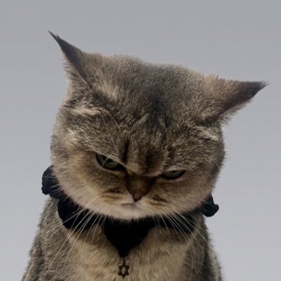 freedom's profile picture