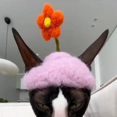 silly_bamboni's profile picture