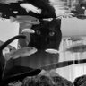 まー's profile picture