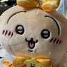 のりっぺ's profile picture