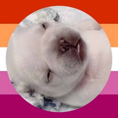aloreatte's profile picture