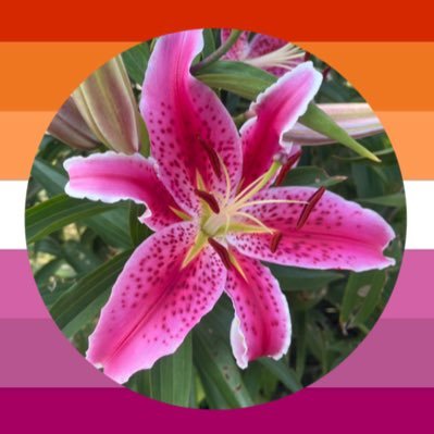 cinnamon ꫂৎ's profile picture