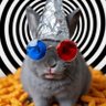 Profilbild von Belligerent Bunny