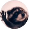仁科's profile picture