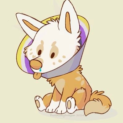 ๐งกLittle Mia Fox๐ฆAC's profile picture