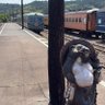 Фото профиля まーくん鉄道