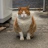 Profilbild von JINTAN