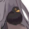 DerAlex's profile picture