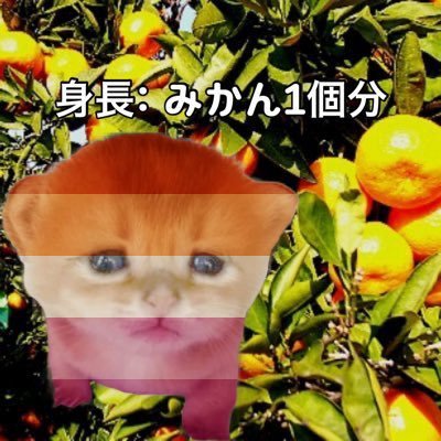1000_mikan's profile picture