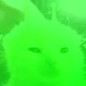 UltraGreenGlorp of twt ~Odette~ profil fotoğrafı