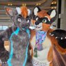 | Raxx | ๐ AC/AQF's profile picture