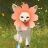𝐙𝐀 (⁠◍⁠•⁠ᴗ⁠•⁠◍⁠)⁠✧⁠*⁠。's profile picture