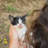Pınar profil fotoğrafı
