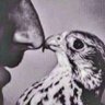 الـهـذلـي's profile picture