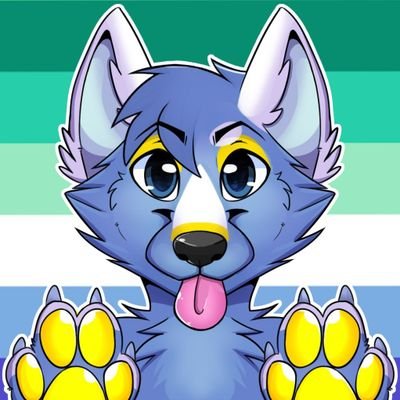 Zororeo! 🪽's profile picture