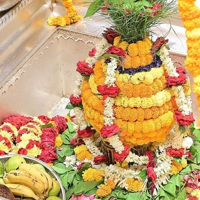 Pushkarkuntal2's profile picture