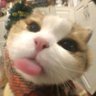 Profilbild von serene⁷