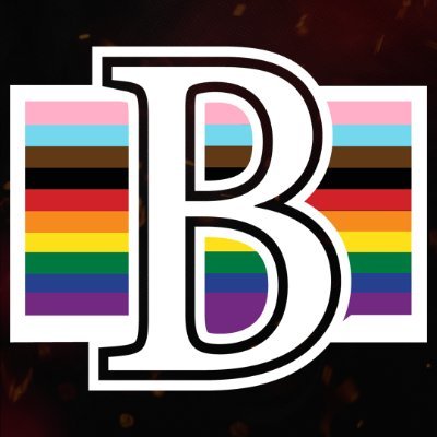 Belleville Senators's profile picture